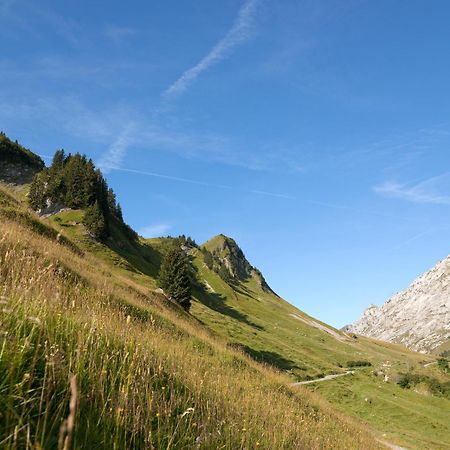 Mgm Hotels & Residences - Residence Chalets De Joy Le Grand-Bornand Exteriör bild